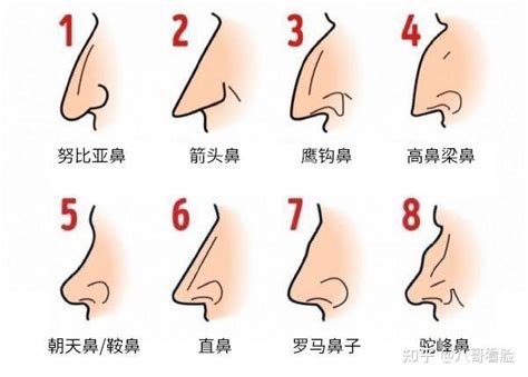 鼻子紅面相|14种鼻型图解 最全鼻子看相解读命运